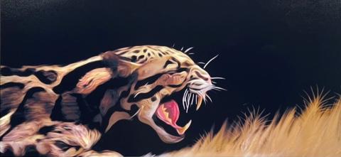 Enfocado by Sam Dominguez